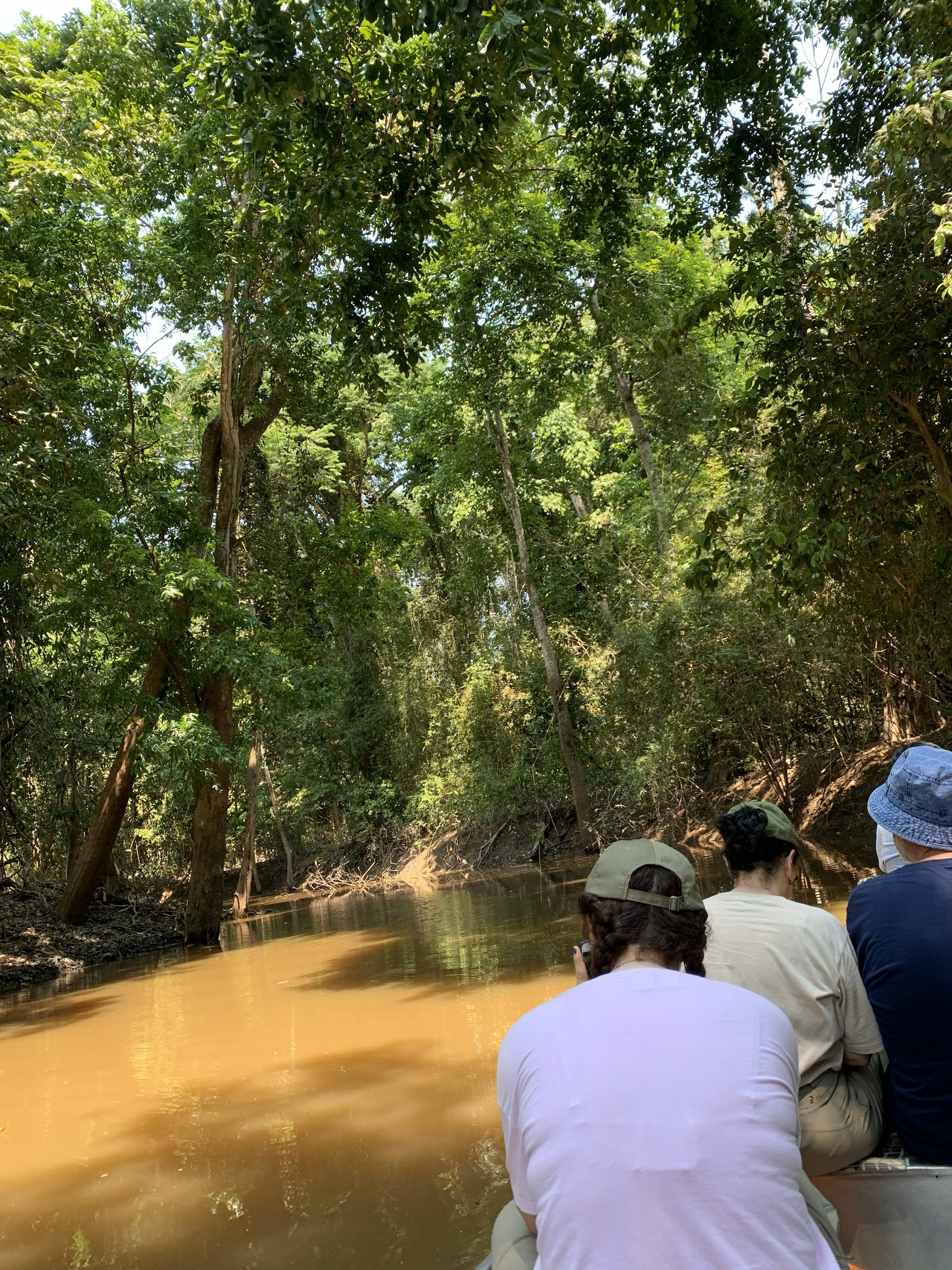 Rio Negro, Anavilhanas & Janauari