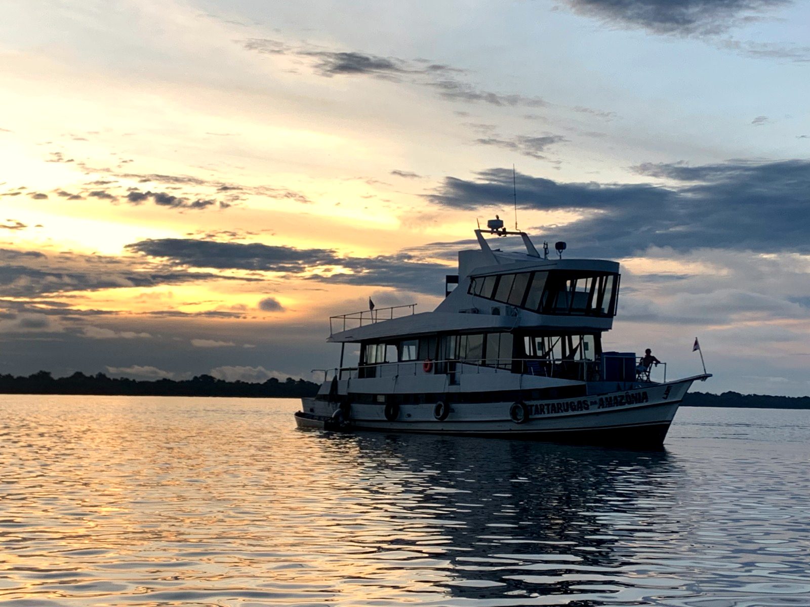 Barco Tartaruga