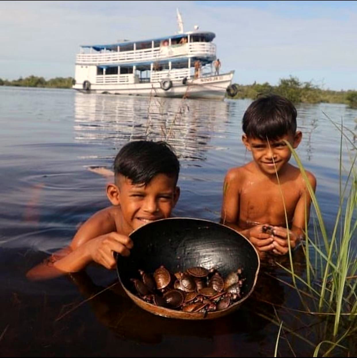 Crianças ribeirinhas com filhotes de quelônios antes da soltura